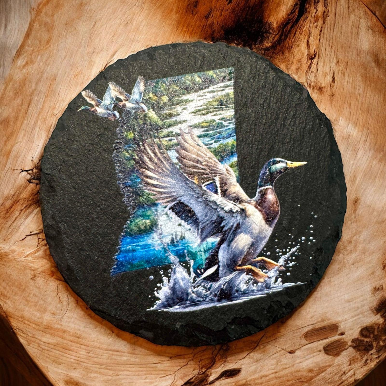 Mississippi Duck Coaster - Premium barware from Pat's Monograms - Just $6.50! Shop now at Pat's Monograms