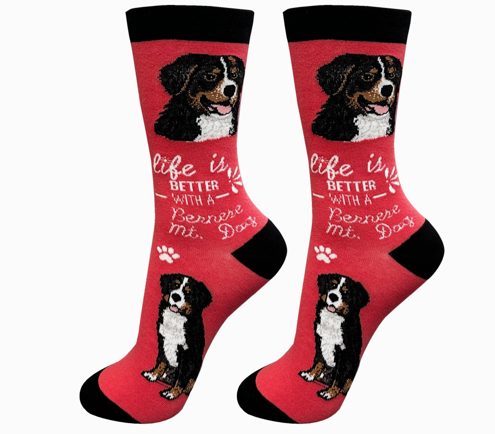Bernese Mountain Dog - Life is Better Socks - Premium Socks from Sock Daddy - Just $10.95! Shop now at Pat's Monograms