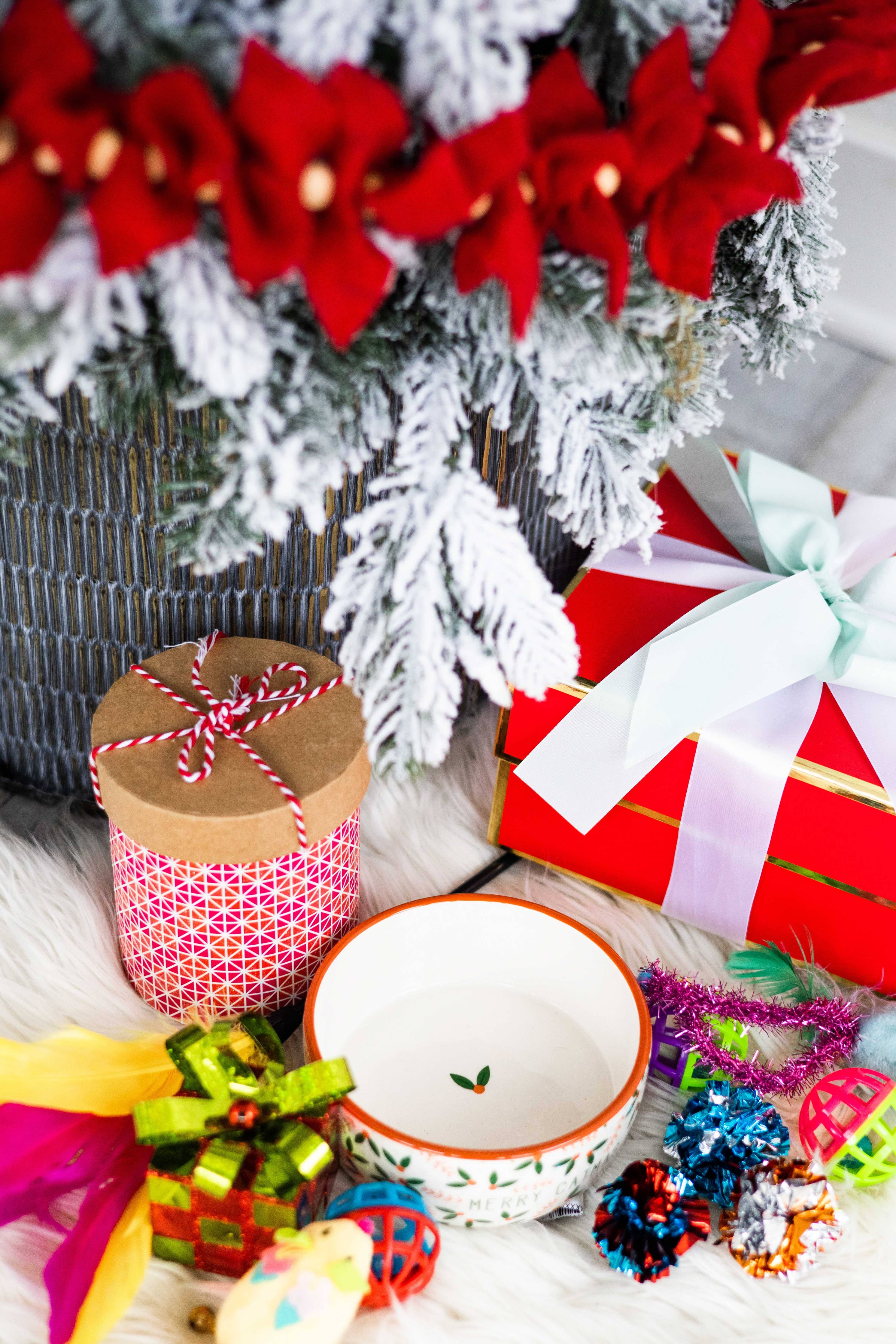 Merry Catmas, Cat Holiday And Christmas Feeding Bowl - Premium Pet Accessories from Pearhead - Just $8.95! Shop now at Pat's Monograms