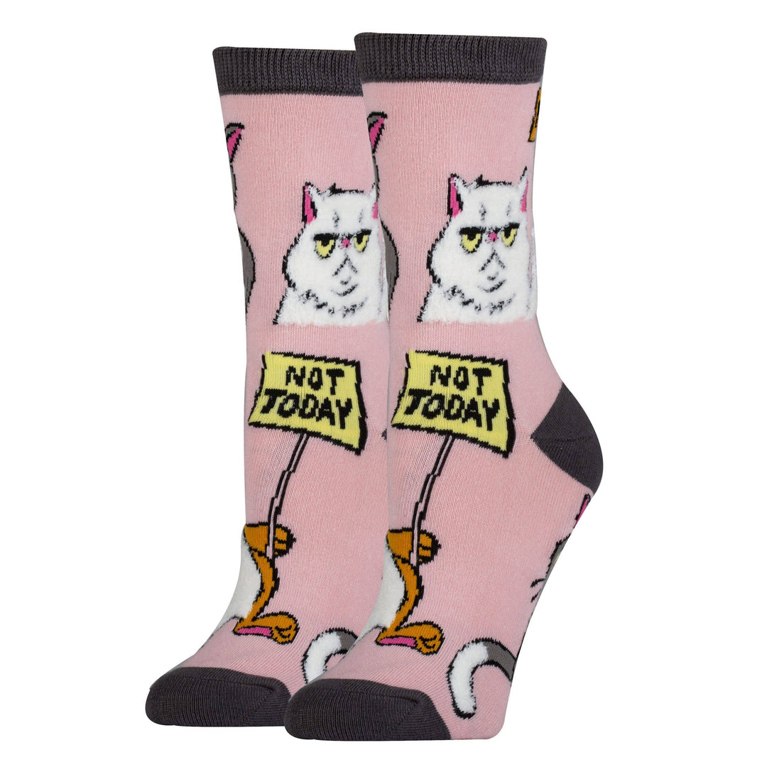 Not Today | Women's Cotton Crew Funny Socks - Premium Socks from Oooh Yeah/Sock It Up/Oooh Geez Slippers - Just $11.95! Shop now at Pat's Monograms