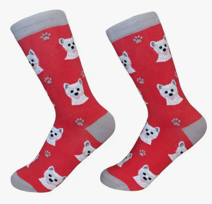 Where to deals buy dog socks