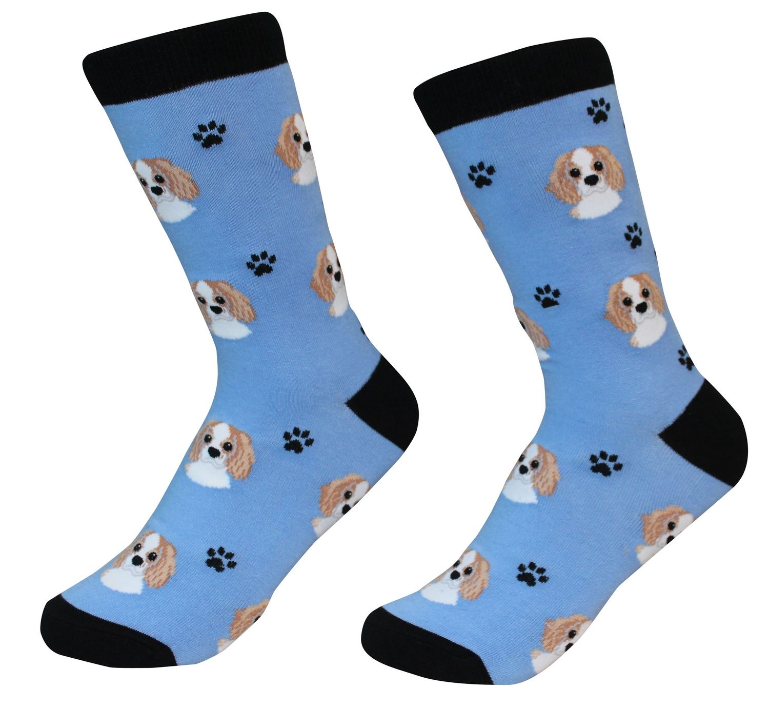 Cavalier King Charles Socks - Premium Socks from Sock Daddy - Just $10.95! Shop now at Pat's Monograms