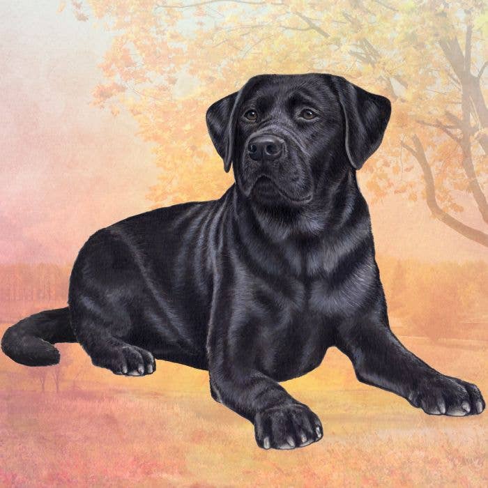 Labrador Black Square Coaster - Premium  from E&S Pets - Just $4.50! Shop now at Pat's Monograms